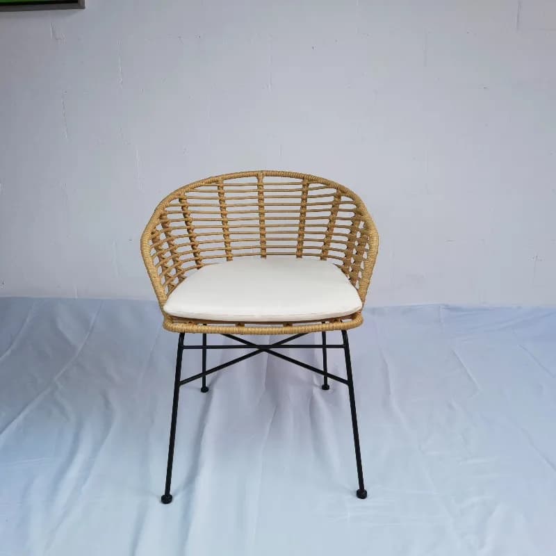 Modern Design Durable Steel Rattan Dining Chair Cafe Restaurant Villa Park Living Room Courtyard Hotel Apartment Use
