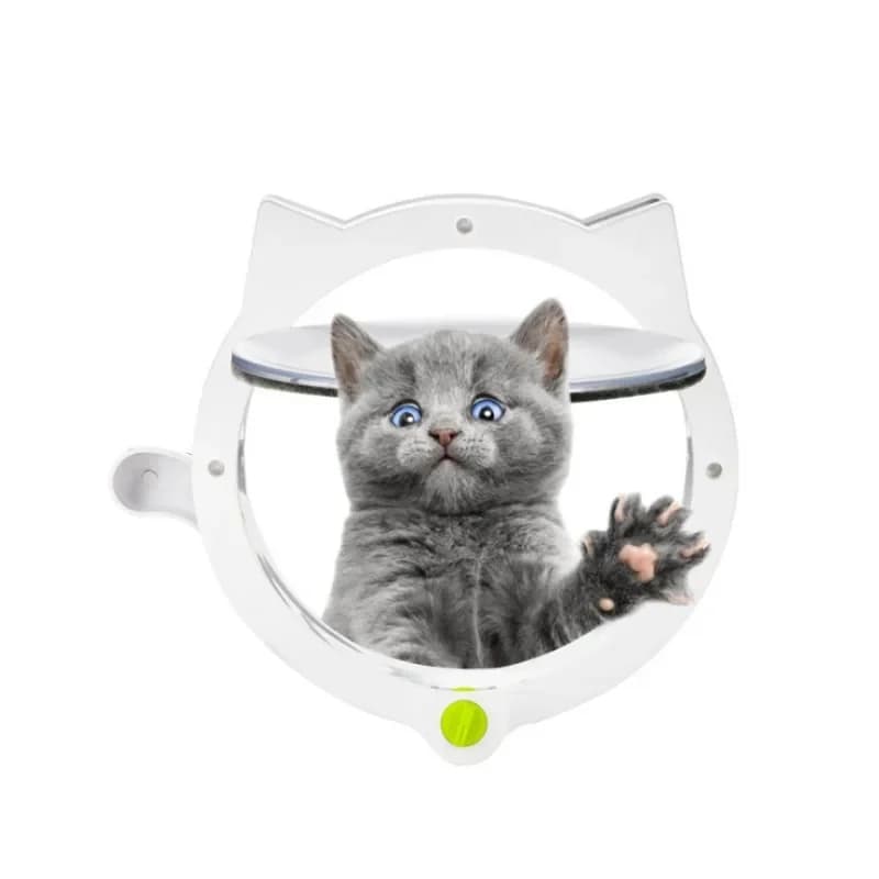 Cat  White dog door Pet door Room  Passage door Isolation entrance