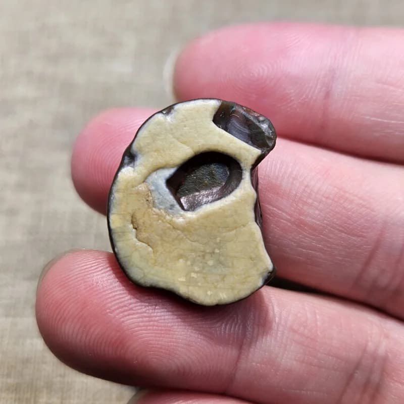 Rare Natural Stone Inner Mongolia Agate With Dragon Scale Pattern Gemstone Animal Shaped Stone Decorative Home