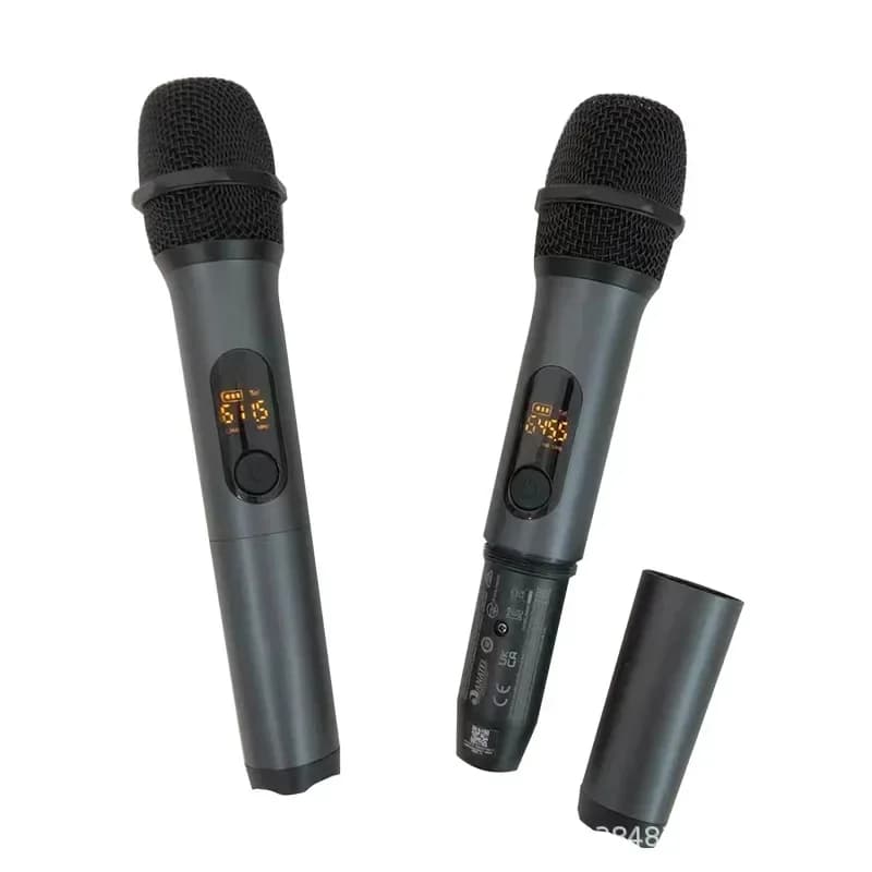 Universal Wireless Microphone One to Two Universal Receiver Outdoor Live Performance KTV Professional UHF Dynamic Microphone