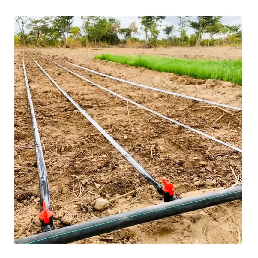 1 Hectare Drip Irrigation System Flat Tape Drip Irrigation Pipes System Agriculture Farm Irrigation Systems Drip Tape