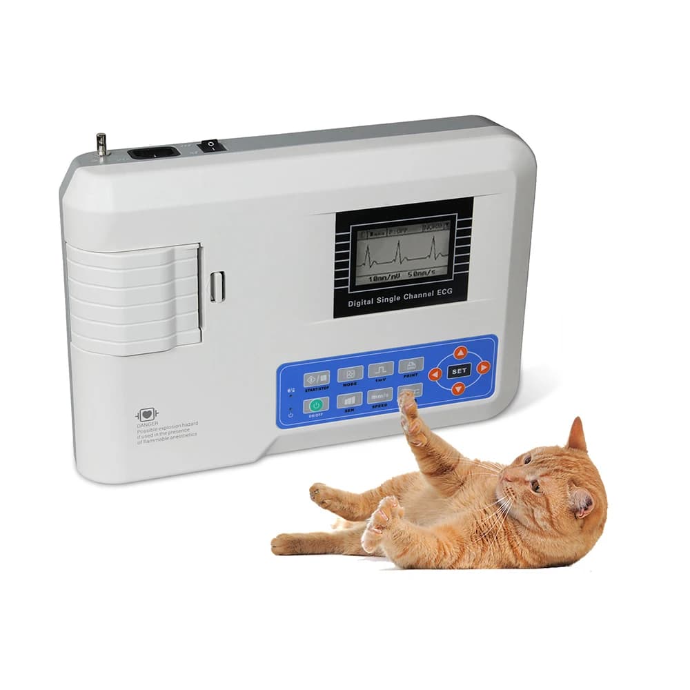 Pet Electrocardiograph Dog ECG Analisys Veterinarian ECG Veterinary for Vet