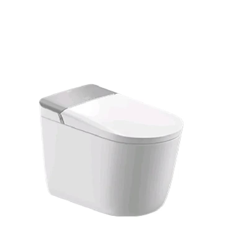Household automatic smart toilet integrated