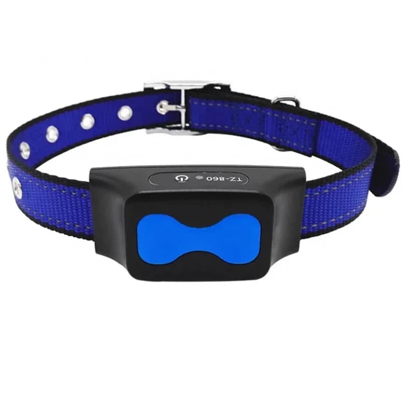 Remote Electronic Dog Fence, Ft In Ground System, With Plastic Agility Equipment, Outdoor Wired Kit