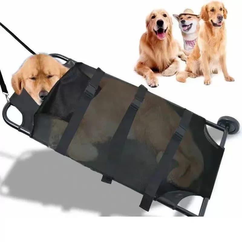 Veterinary Instrument Pet Clinic Transport Trolley Dog Stretcher for Animal Hospital Transport Needs