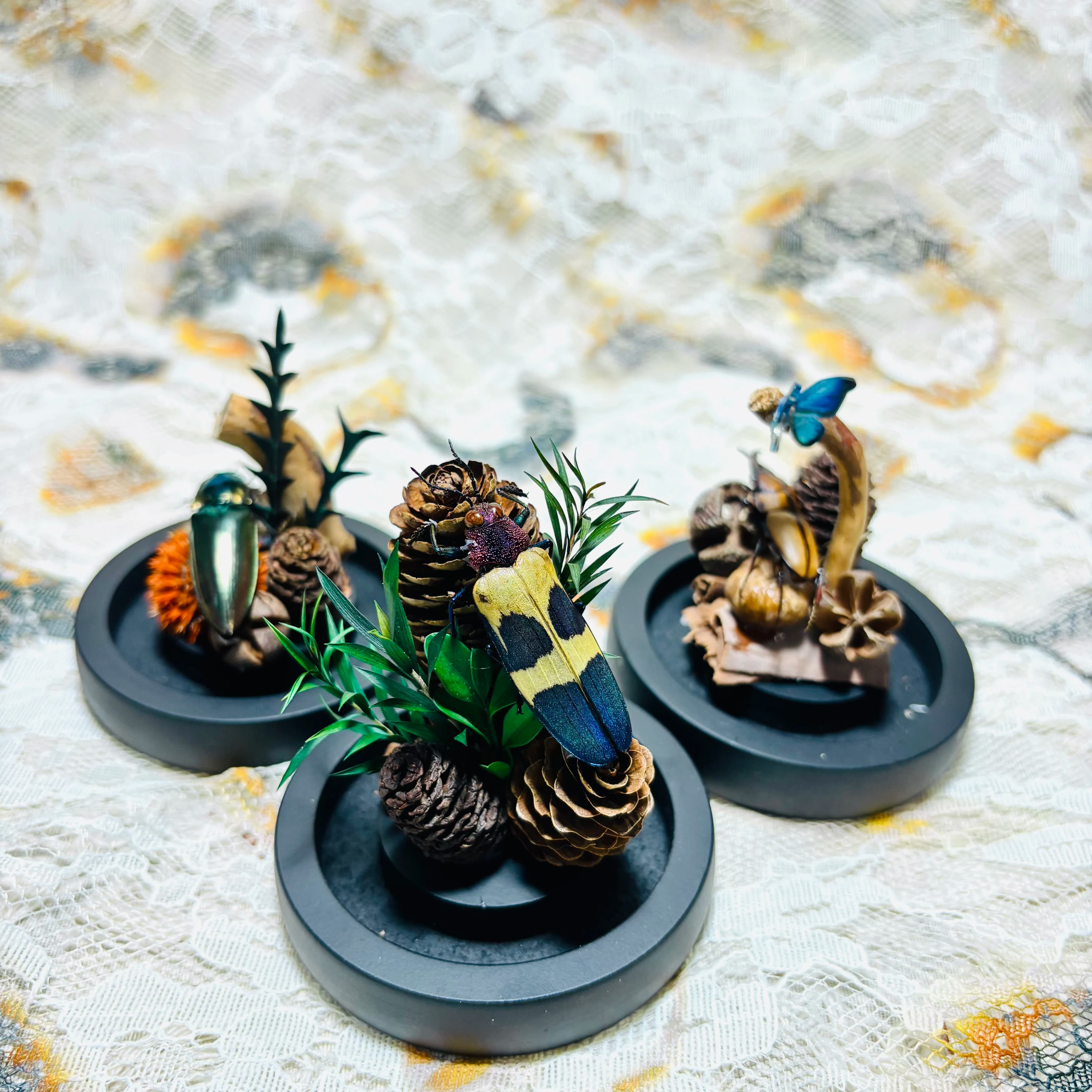 2138 Insect Dried Flower Table Ornament Collection Bulk Wholesale Handmade Mini Nature Scene Decor Desktop Display Art Craft