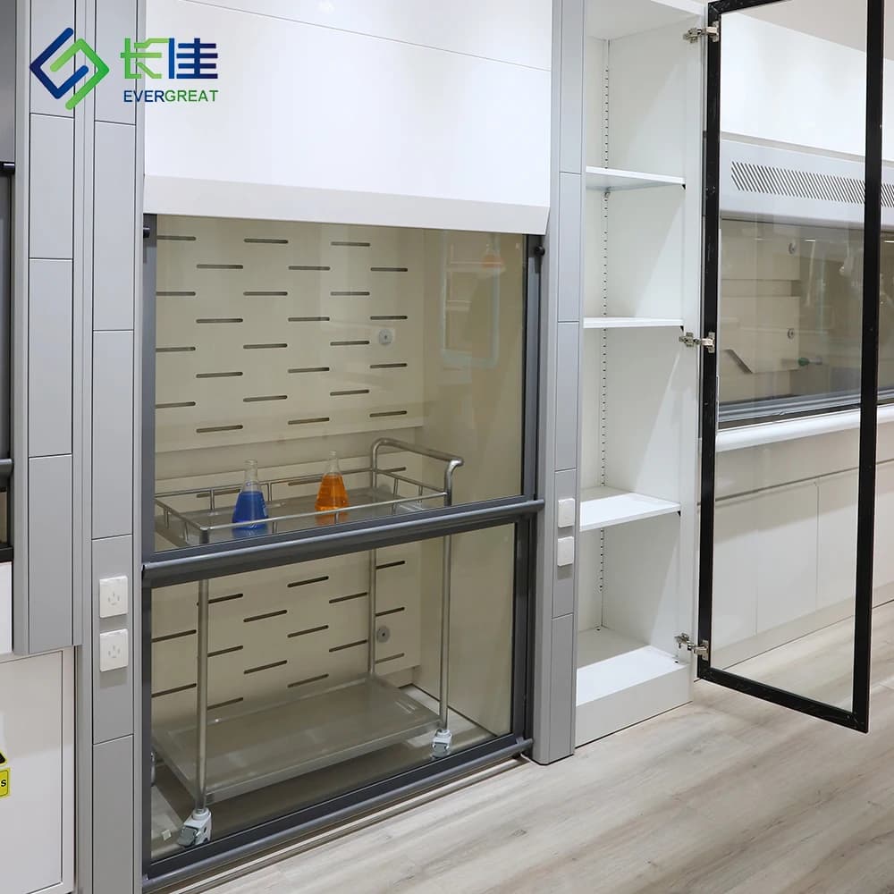 Walk-in Fume Hood Laboratory Stainless Steel High Quality Fume Cupboards