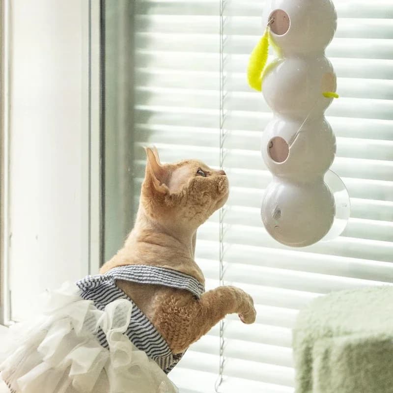 Intelligent induction cat electric cat teaser self-hi boredom relief artifact kittens consume physical strength