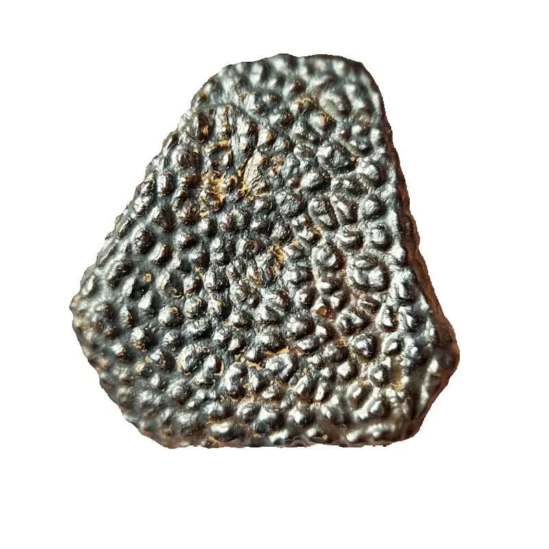 Natural Heilongjiang Lron Meteorite Mineral Specimen Energy Healing Magic Supply Christmas Decorations Holiday Gifts