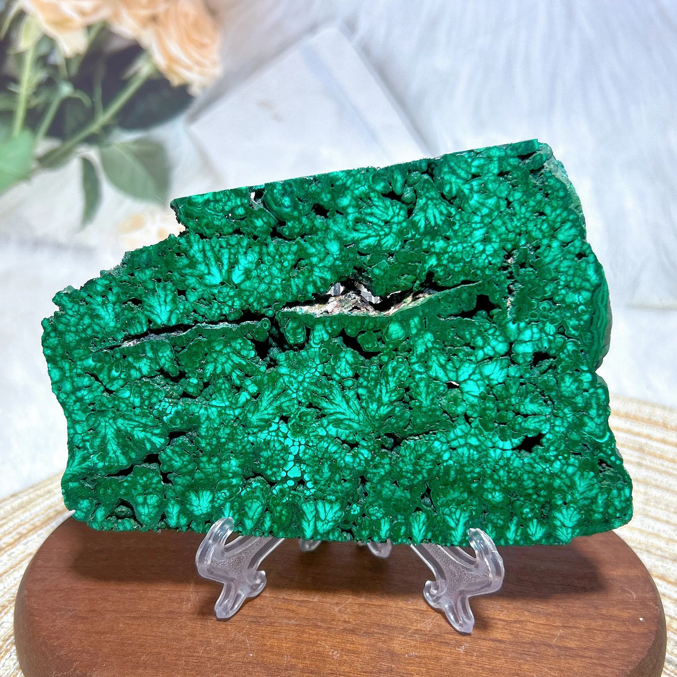 Healing Natural Crystal Green Malachite Slab Slices Mineral Energy High Quality Gemstones Polished Home Decoration Gift