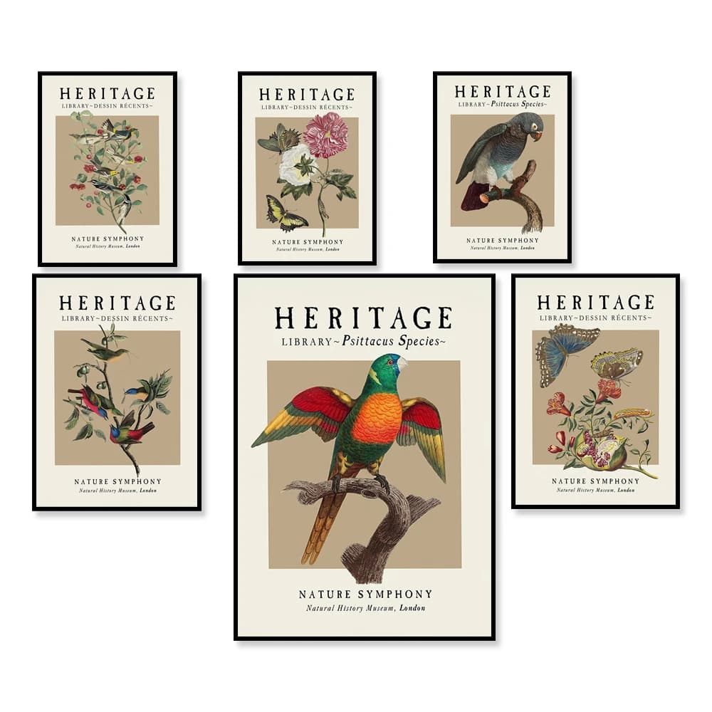 Ornitology Vintage Poster | Wild Birds Vintage Poster | Exotic Birds Wall Art | Birds Vintage Print | Vintage illustration Wall