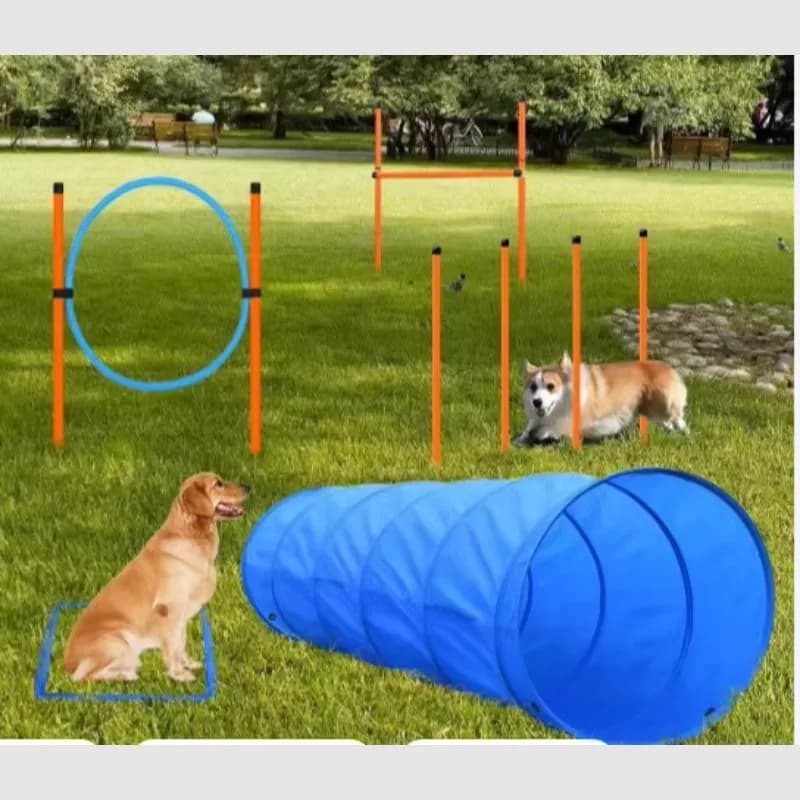 Fashionable Plastic Dog Agility Training Collar Electric Remote Barking Device