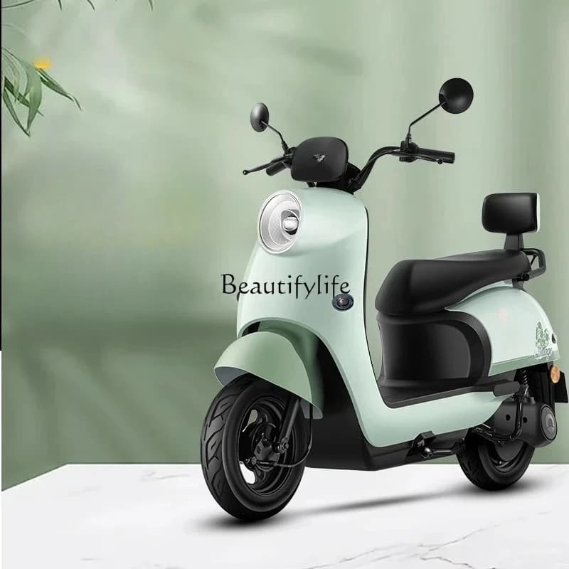 88.Long battery life electric motorcycle commuter electric vehicle adult battery car