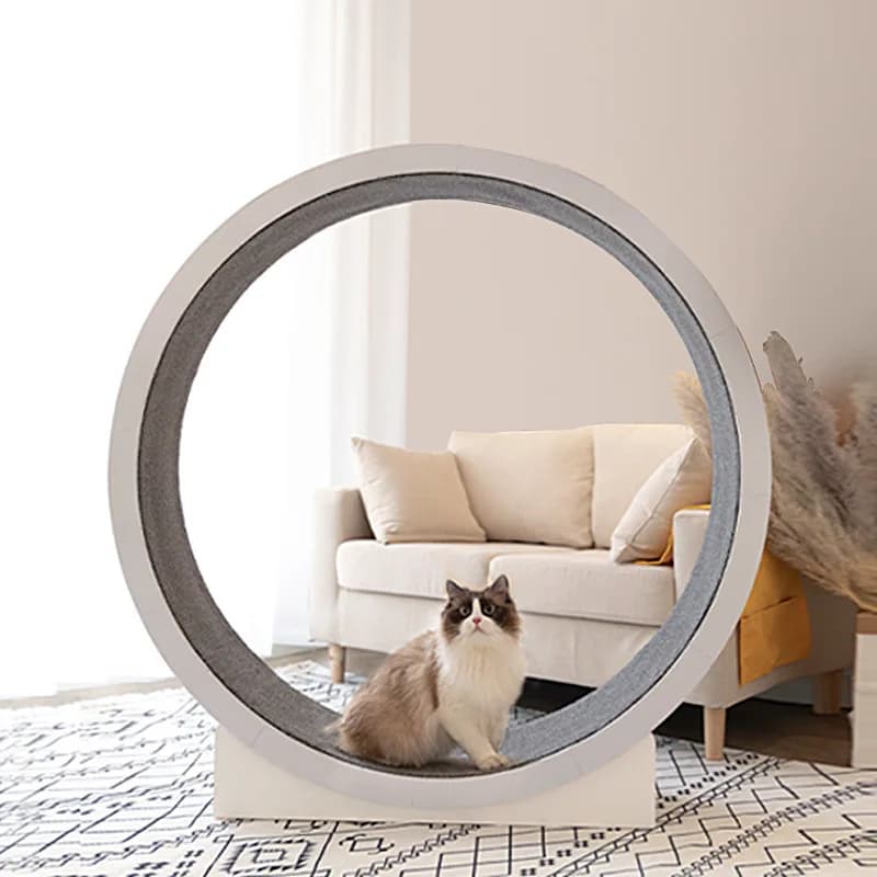 Cat treadmill exercise machine big roller wheel cat toy