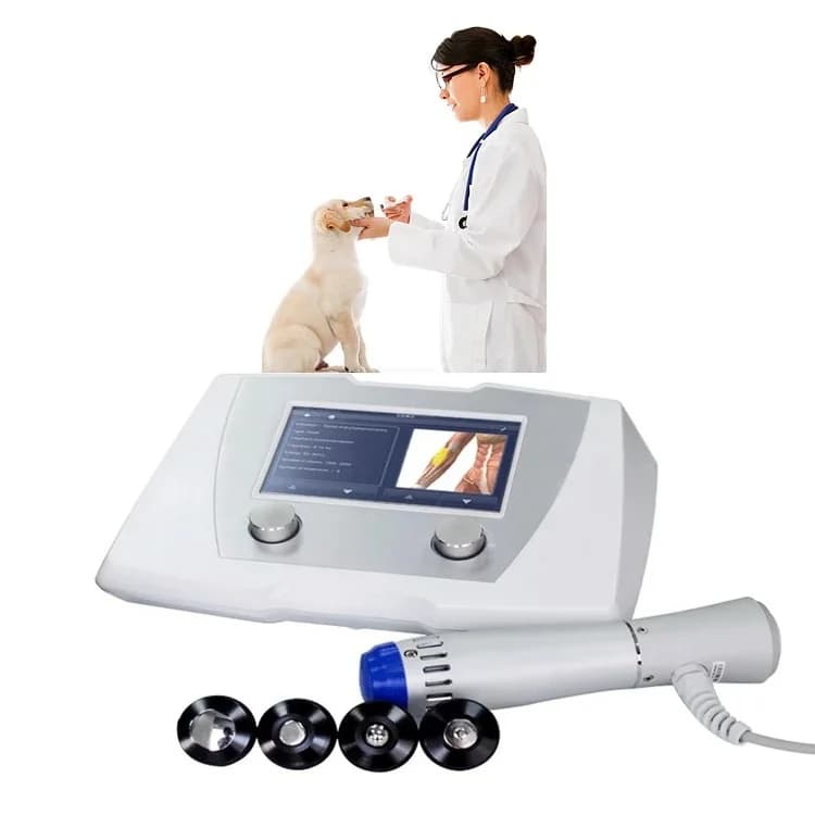 Equine Shockwave Therapy for Horses and Small Animals