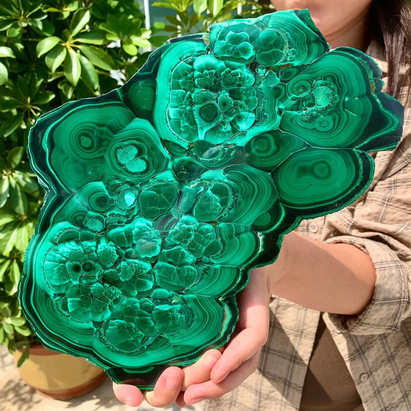 Natural Glossy Malachite, Transparent Cluster, Rough Mineral Sample