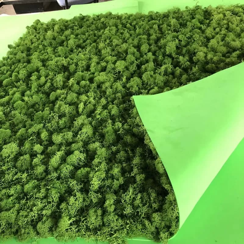 for HFloral OEM Stabilized Reindeer Moss Board Preserved Supermoss Home Office Decor Wall Background Christmas New Year
