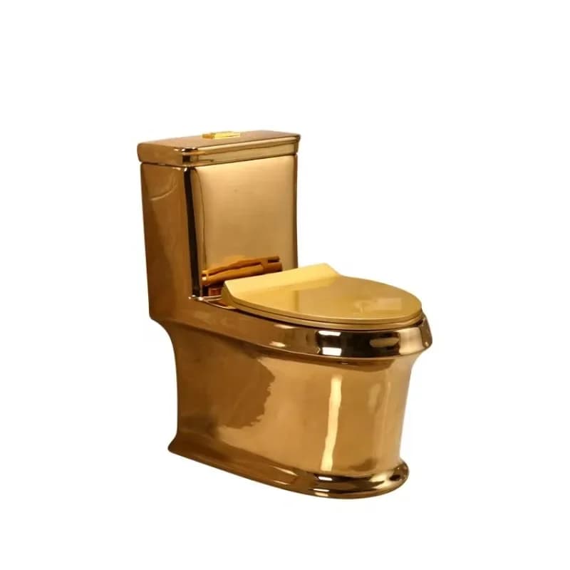 Executive sanitary ware toilet integrated floor-to-ceiling toilet bidet bathroom