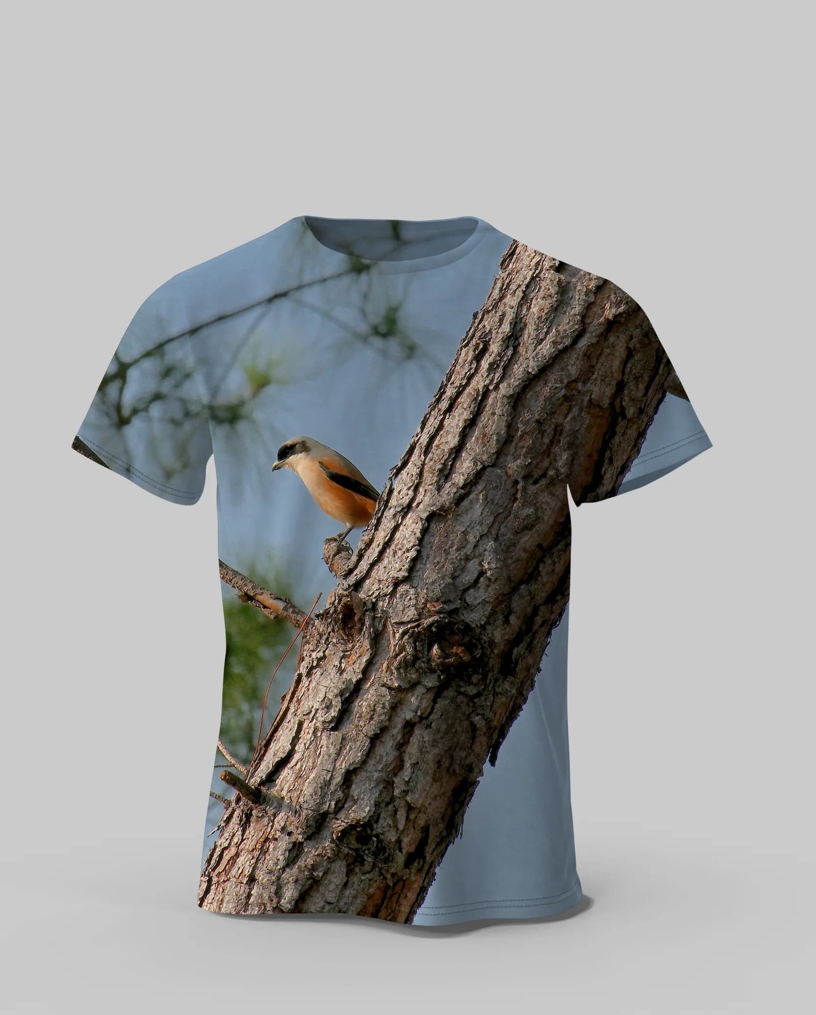Original Cute 3D Bird Printed Sleeve Short for Men T-shirt Oversized Round Clothing Men's Top Tees