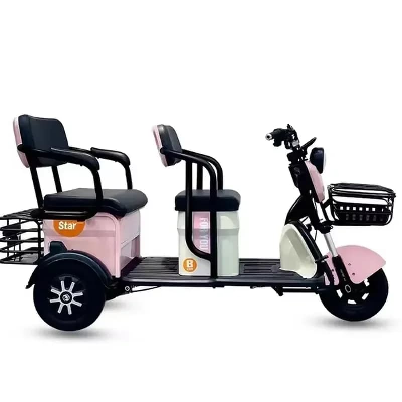600W Electric Passenger Tricycle for Elderly with Double Seat and 3 Wheels Scooter for Electric Power Tricycle