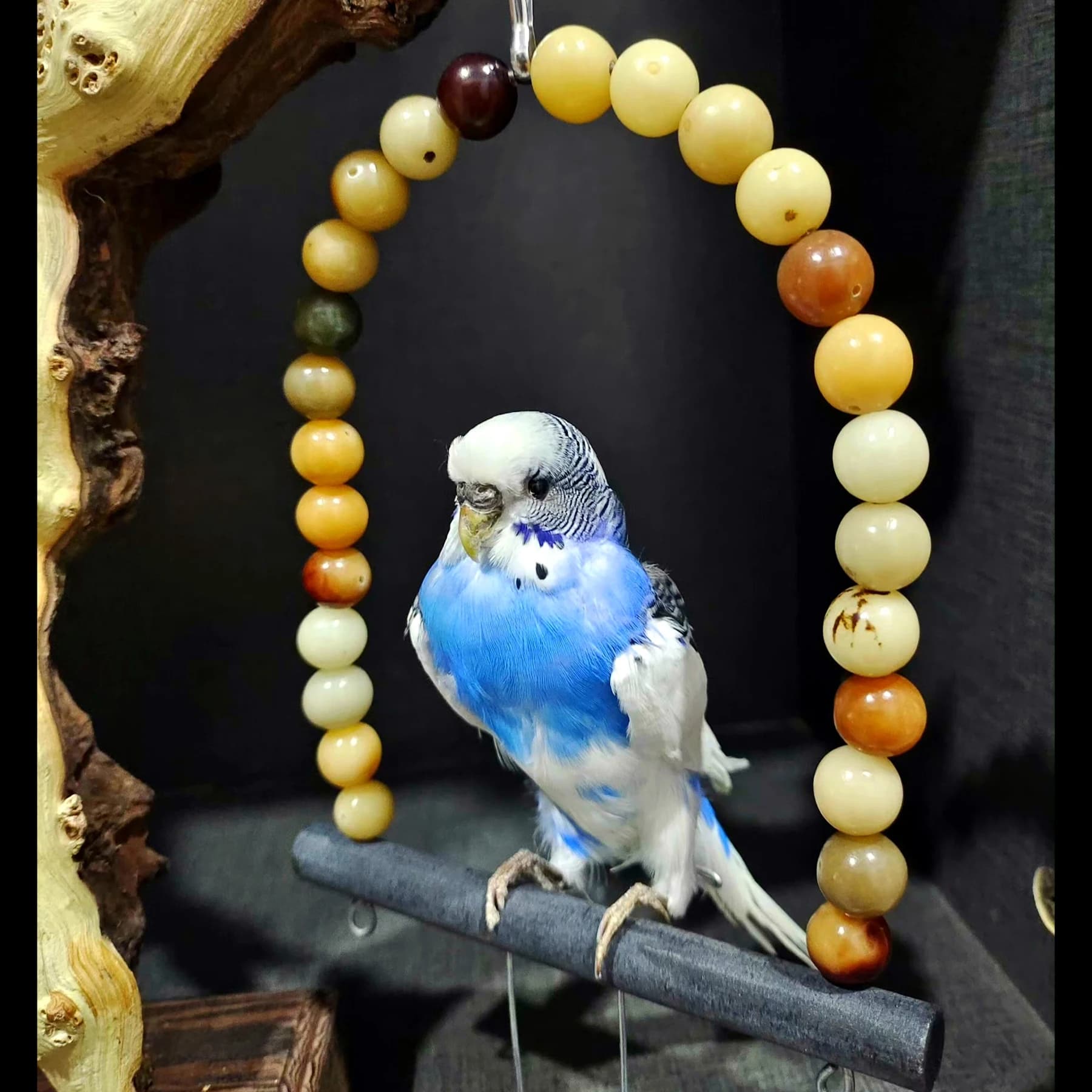 2057 Boutique Artificial Budgie Parrot Statue on Wooden Stand Resin Taxidermy Style Home Decoration Ornament Unique Handmade