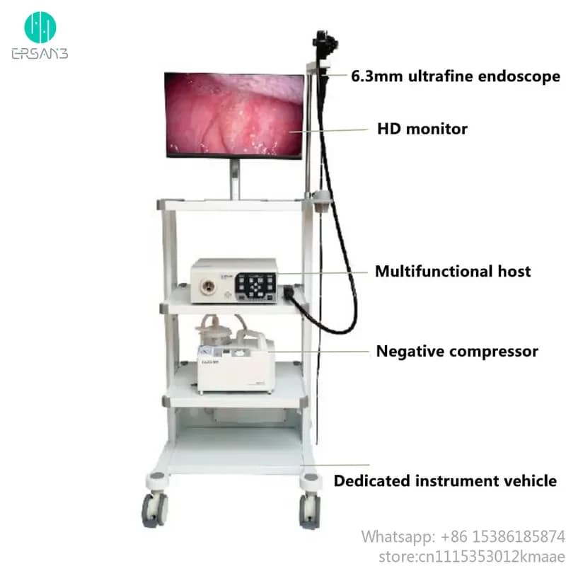 Vequyn Veterinary Flexible Video Endoscope System — Gastroscopy & Colonoscopy Machine for Animal Clinical Use