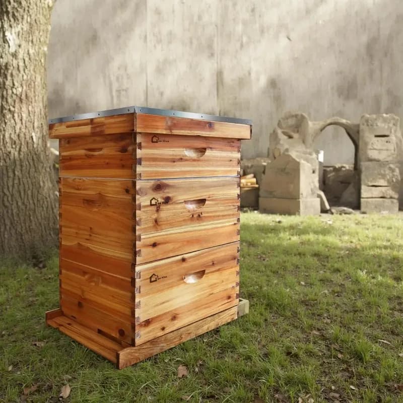 10-Frame Complete Beehive Kit, Wax Coated Bee Hives for Beginner, Includes 2 Deep Box and 1 Medium Bee Box with Beehives Frames