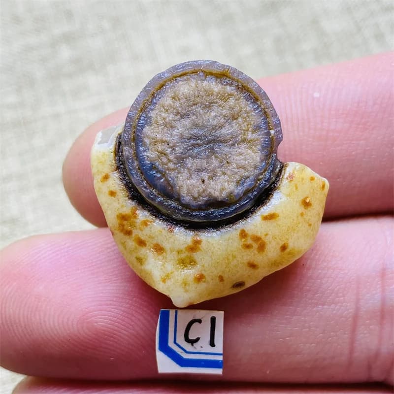 Crystal Stone Eye Agate Texture Clear Spruce Fine Texture Natural Quartz Chakra Healing Home Decoration