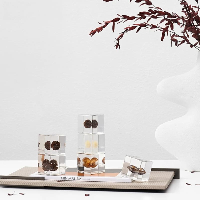 Modern simple plant specimen cube resin small ornament model room coffee table wine cabinet creative decoration