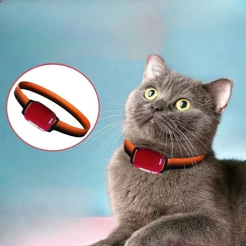 Pet dog locator anti-lost cat and dog positioning remote tracking pet collar