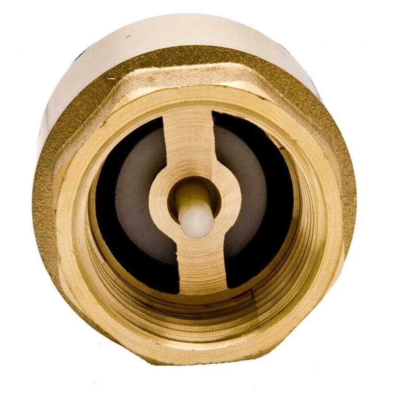 Brass Stainless Steel Threaded Vertical Check Valve Anti-Counterflow One-way Spring Thread Check Valve