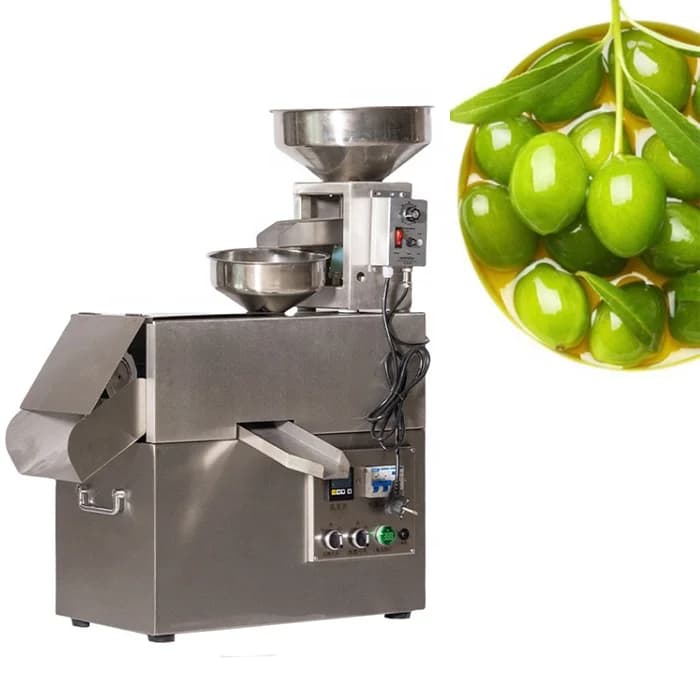 New Automatic Small Stainless Steel Screw Oil Press for Pumpkin Seeds, Cold Press and Hot Press Machine Equipment