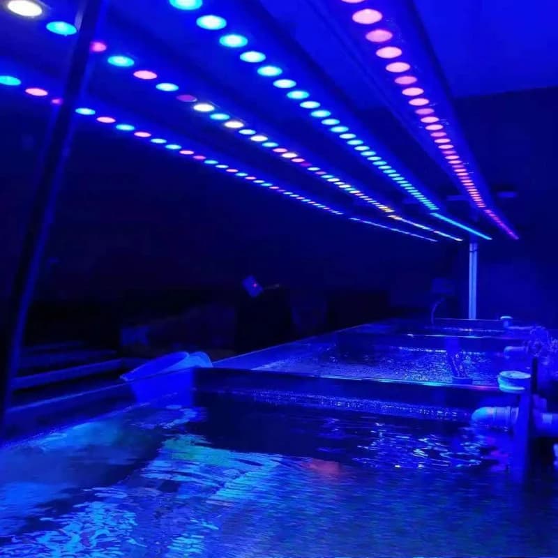 Aquarium Light Stick Landscape Intelligent Dimming Timing Full Spectrum LED Fish Tank Light