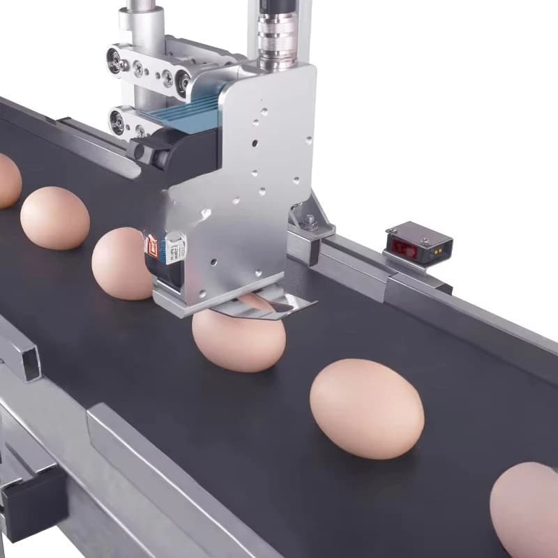 Egg spray code transfer, egg barcode coder bag