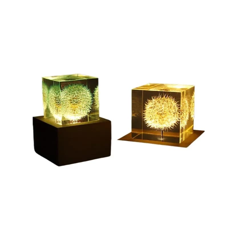 Square dandelion office creative home desktop decoration ornament