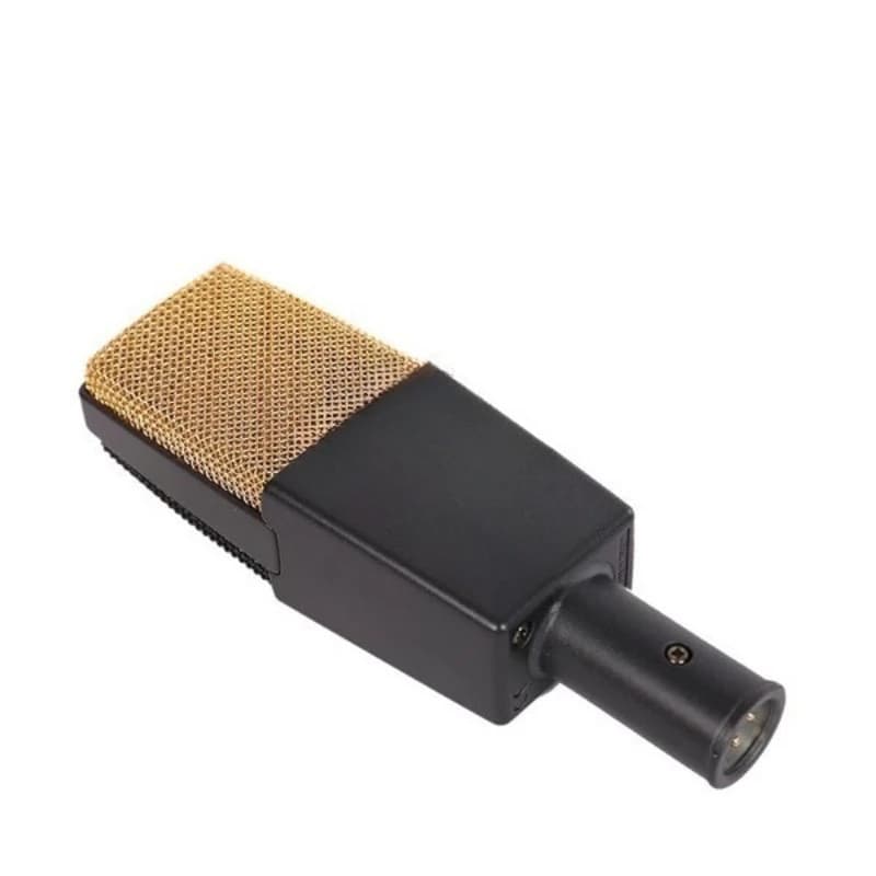 Multi-directional large diaphragm condenser microphone microphone practical good thing