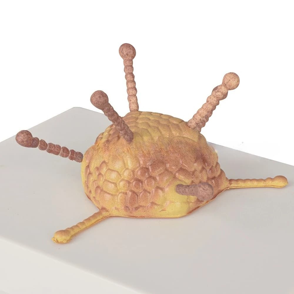Medical teaching model, adenovirus model, coronavirus model (blue)