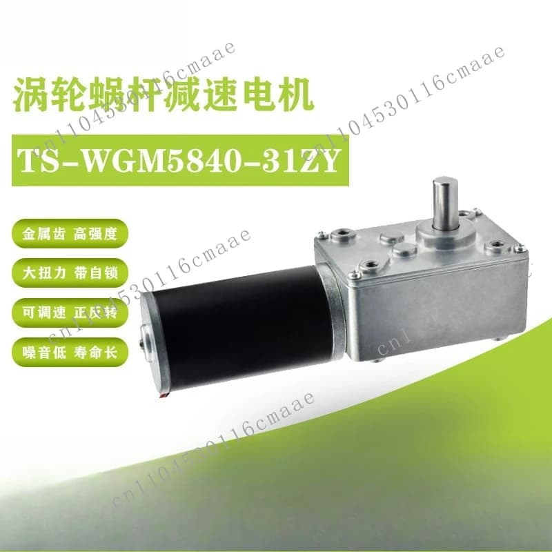 5840-31ZY turbo worm DC geared motor 12v24 speed regulation self-locking gear large torque dual shaft motor