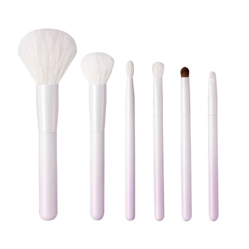 The same gradual change color 6 makeup brush set goat hair loose powder brush  eyeshadow  animal hair