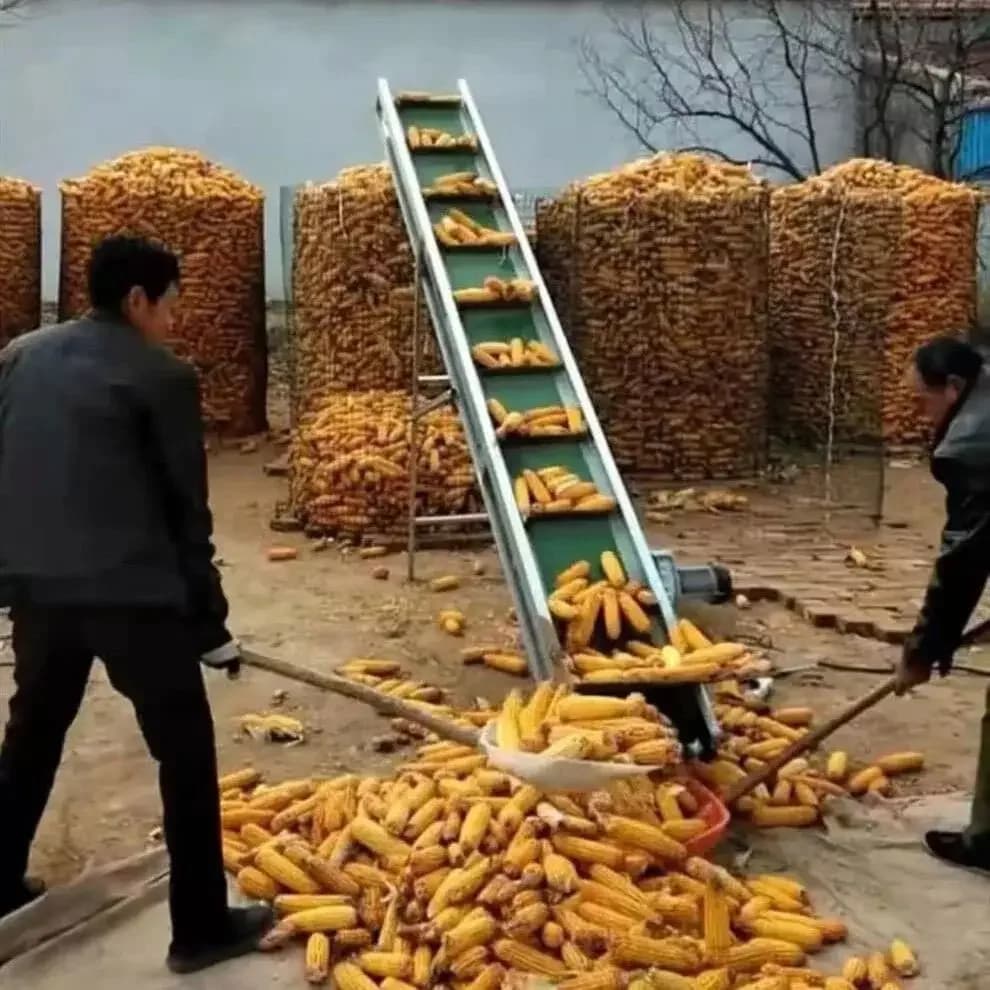 Lyq Agricultural Sticking Machine Corn Cob Conveyor Small Household Conveyor Belt Unloader Bulk Pellet Grain Machine