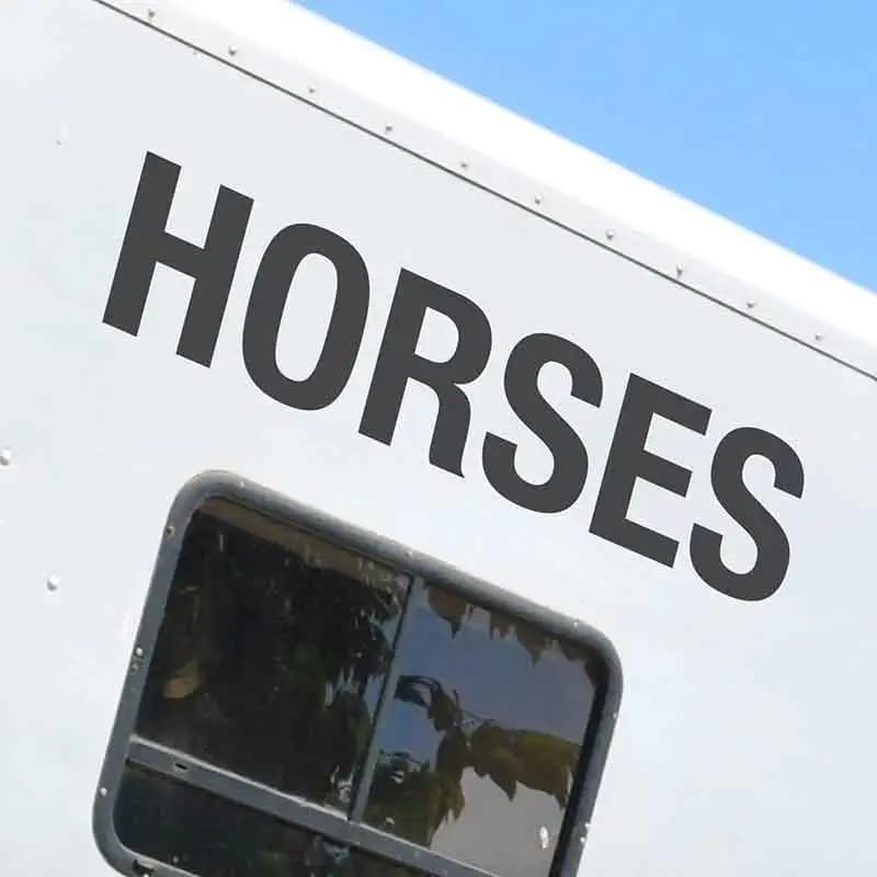 HORSES Equestrian HorseBox Vinyl Lettering Decal Sticker Sign Trailer Outdoor Waterproof Custom Color Q185