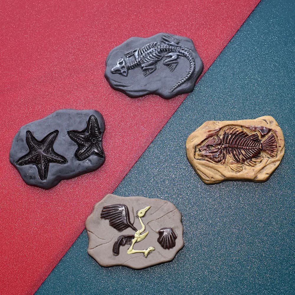 10pcs Mini Resin Fossil Miniature Charm Flatback Dollhouse Miniatures Crafts Scrapbooking Accessories Mini Figurine Cabochon Diy