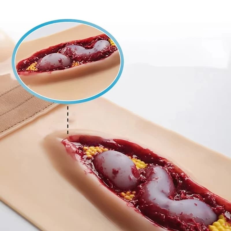 2025 New abdominal anatomical wound training model, a simulation model for medical teaching and training