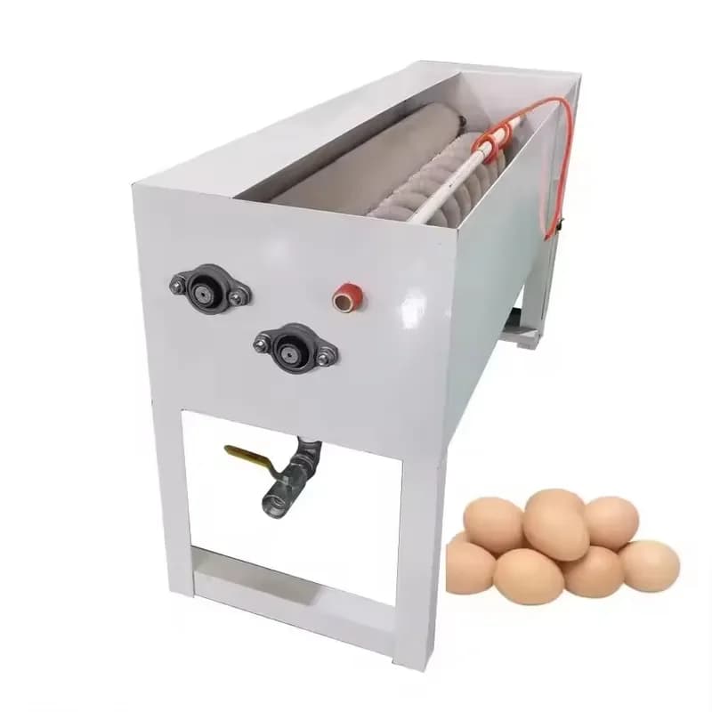Small Dirty Egg Cleaning Equipment Cheap Egg Brush Cleaning Machine Egg Cleaning Roller Brush