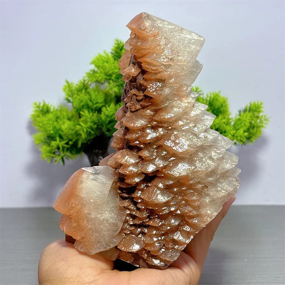Melaleuca Calcite Raw Specimen Natural Crystal Home Decoritems Room decor Lucky Quartz Stone Garden Reiki Healing Energy Love