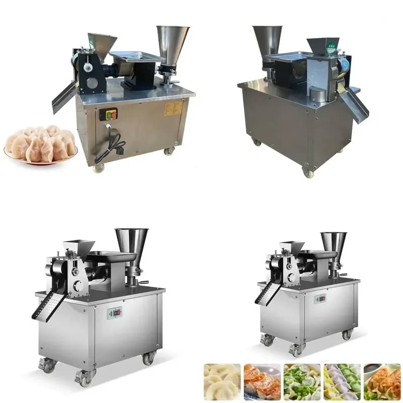 YWM Certificate Gyoza Machine Meat Dumpling Spring Roll Ravioli Making empanada Machine Samosa Making Machine Low Price