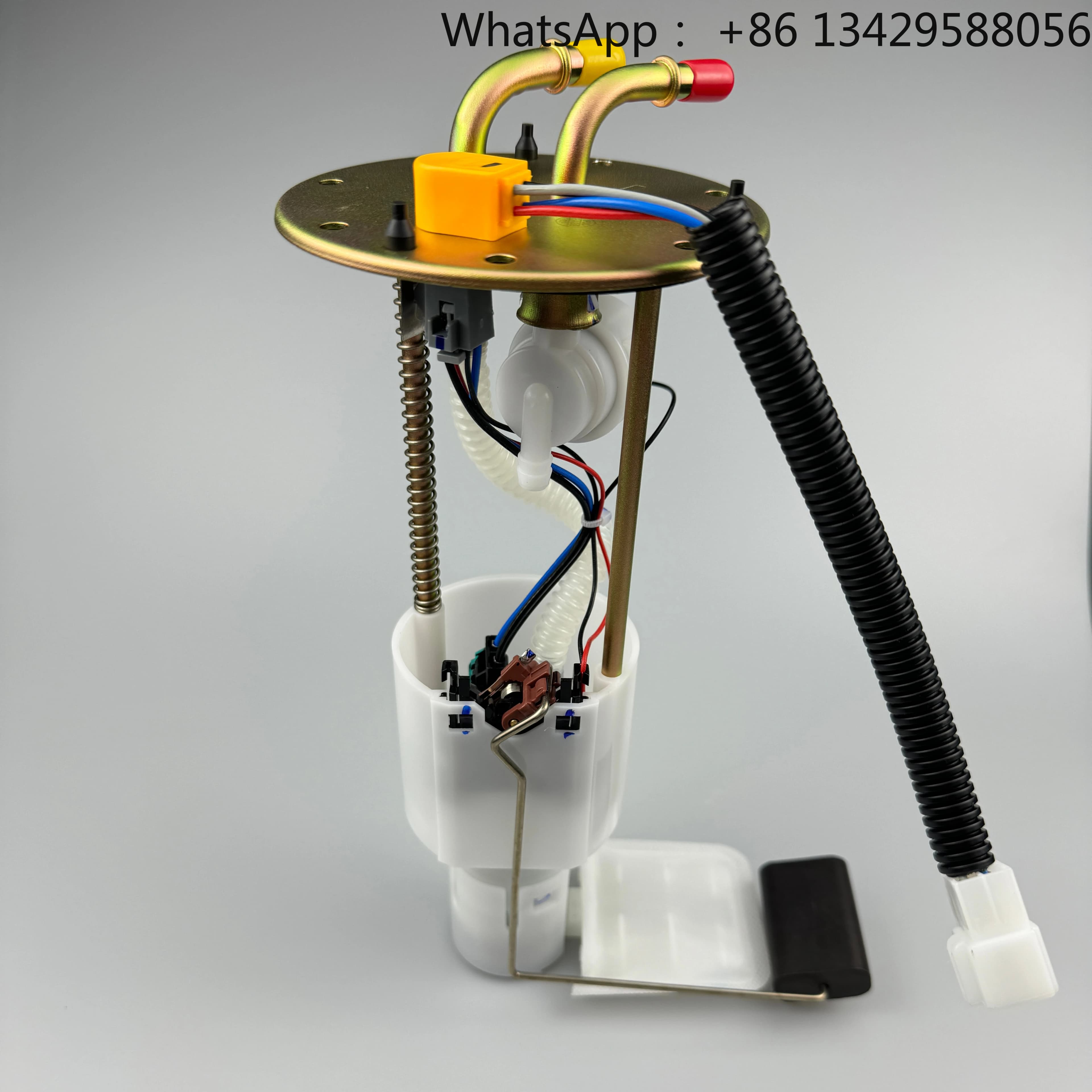 11060100-B01-000 Fuel Pump Assembly for Baic Car Fuel Pumps Assy