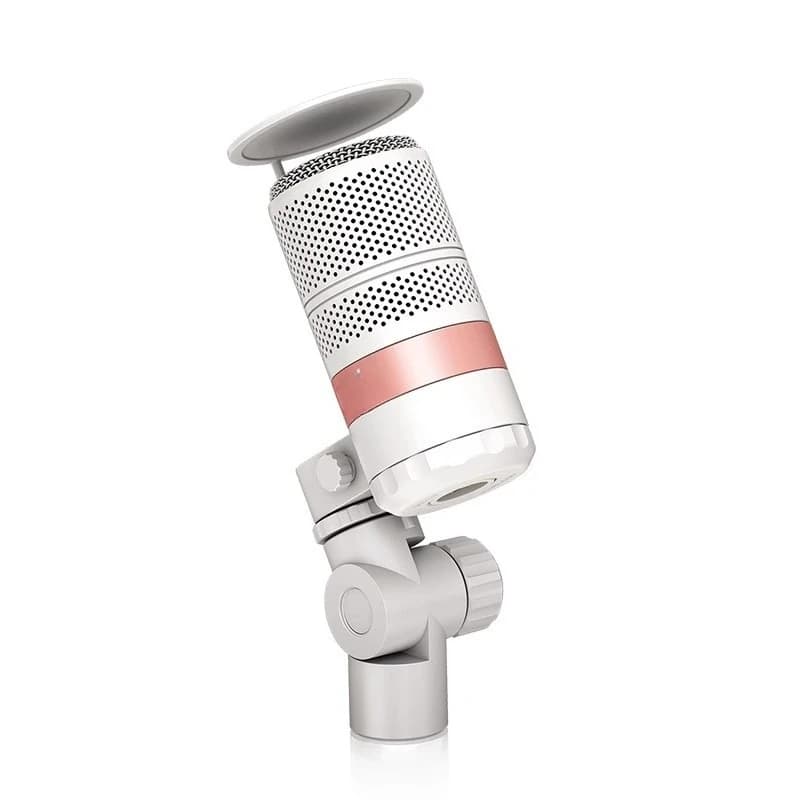 High-value vocal microphone High-end recording live streaming host live broadcast dynamic microphone