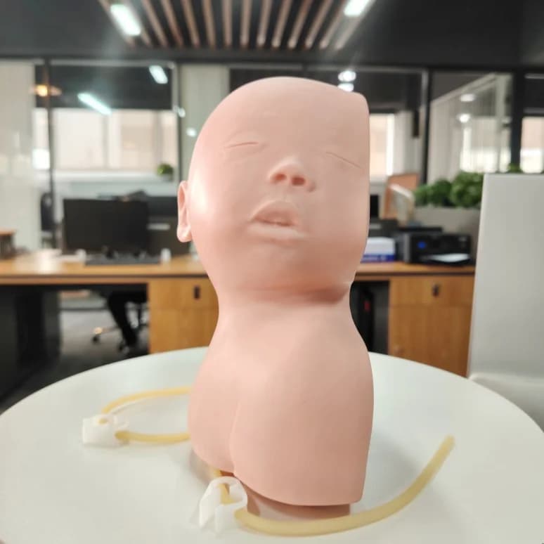 Advanced Infant Head Venipuncture Training Demonstration Model