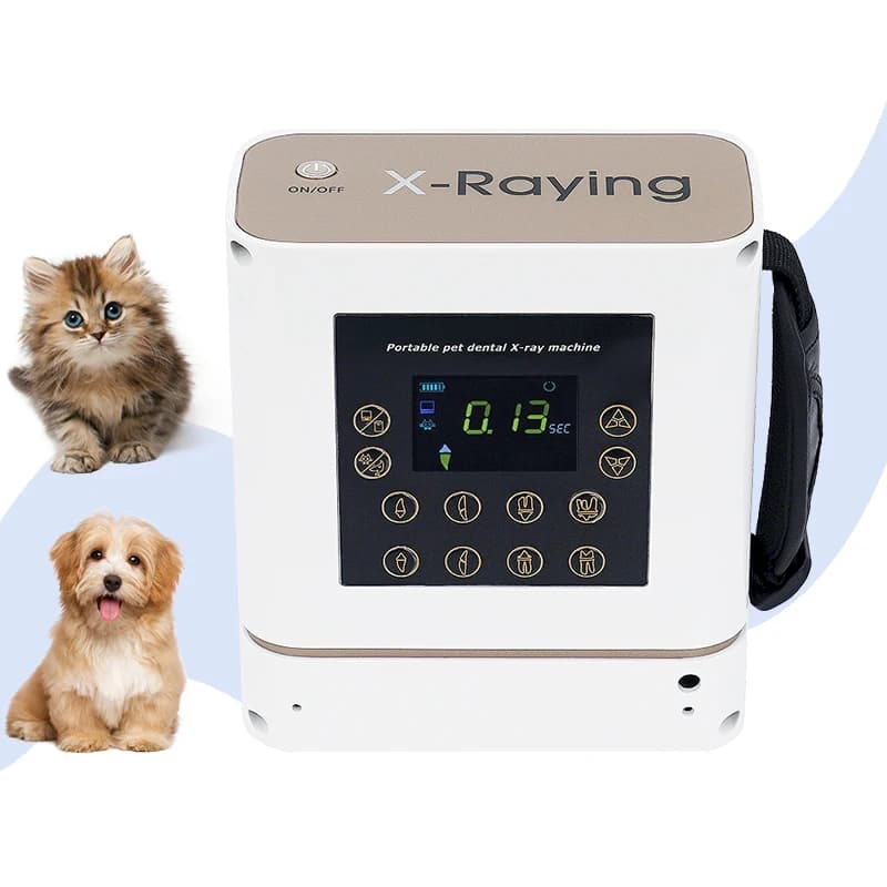 Portable Pet Dental Digital X Ray Machine High Frequency Medical Equipment Veterinary X-ray Unit Radiograph System